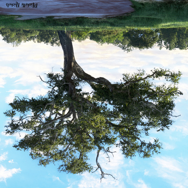 Long Beach MS Tree Print