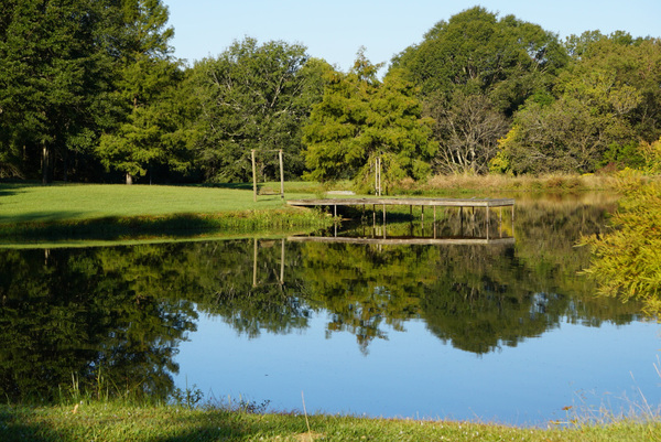 Pond Reflections Print