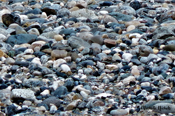 River Rocks Print