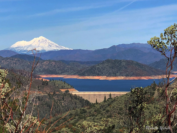 Shasta Lake Print