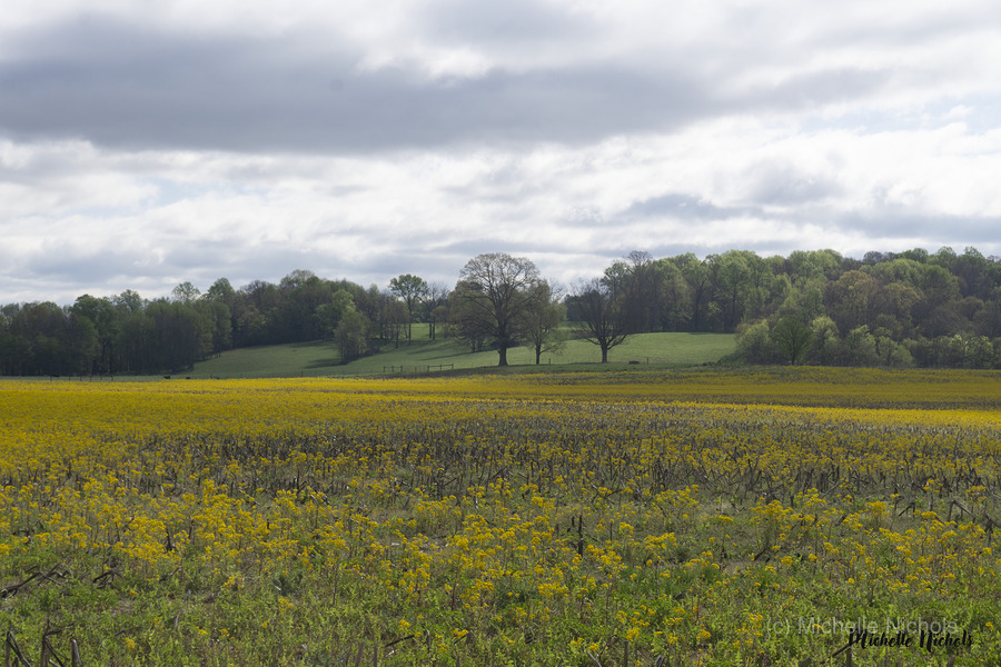 Keith Spring Mtn Valley  Print