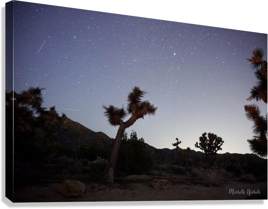 Joshua Tree National Park Canvas Print