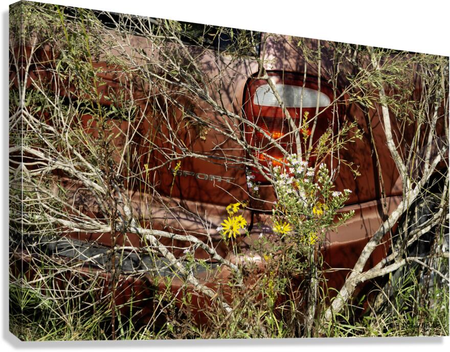 A Beautiful Bouquet Canvas Print