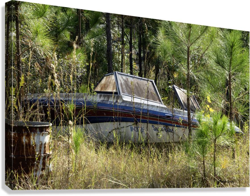 Sugar Babe Canvas Print