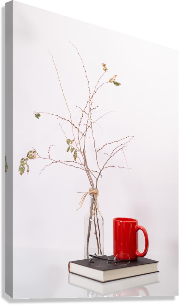 Wabi Sabi Canvas Print