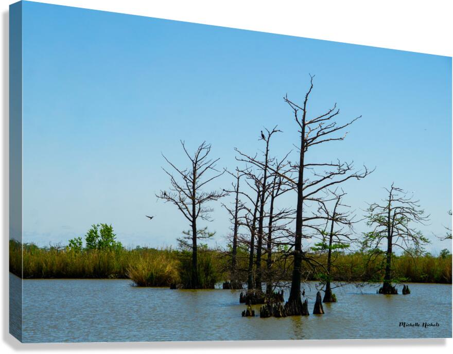 Venice LA Canvas Print