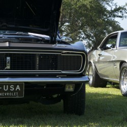 Car Show Camaros