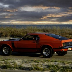 Red Mustang w Black Stripe Rear View