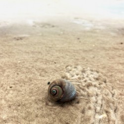 Making My Way To The Water