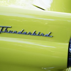 Yellow Thunderbird