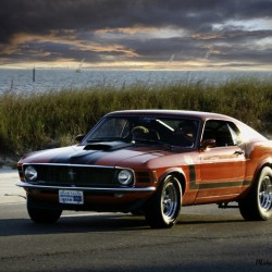 Red Mustang w Black Stripe
