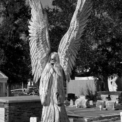 BW BSL Cemetary Guardian