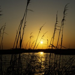 Sunset on the Port Sulphur Marsh