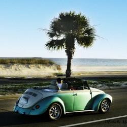 Cruisin  Beetle