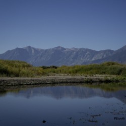 Carson River Bend