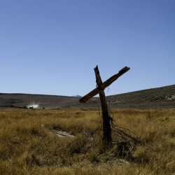 Old Fence Cross Section