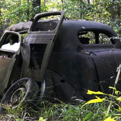 Jane and Dan s Treasure