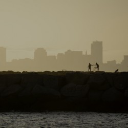 The Levee in Long Beach CA