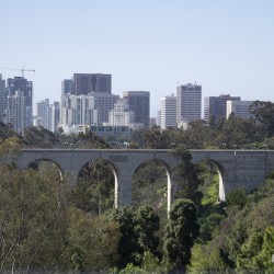 Bridge at the San Diego Zoo