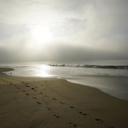 Footprints On The Beach