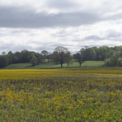 Keith Spring Mtn Valley