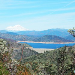 Lake Shasta