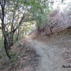 Mountain Trail