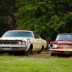 Old Cars in a Field