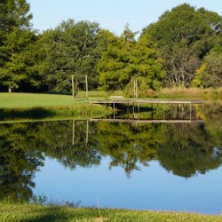 Pond Reflections