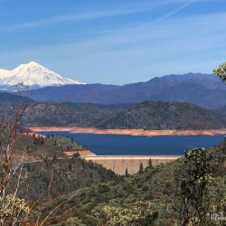 Shasta Lake