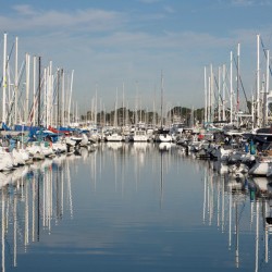 The Marina