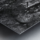 BW Pass Cemetary Metal print