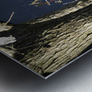 Two Little Birds Metal print