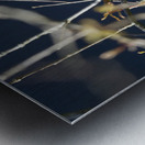 Mockingbird Metal print