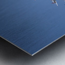 CA Planes 3 1sq Metal print