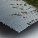 Guy s Beach Metal print