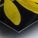 Bee The Flower Metal print