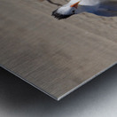 Seagull Couple Metal print