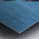 Crow at the Beach 1717431764.8933 Metal print