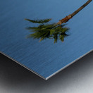 Just One Palm Tree Metal print