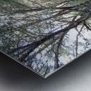 Mountain Trail Metal print