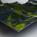 White Cam Metal print