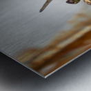 Rusty the Dragonfly Metal print