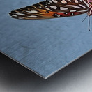 Southern Royalty In Bloom copy Metal print