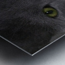 Green Eyed Fonzie Metal print