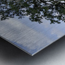 Big Old Tree Metal print