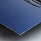 Thelma 2.1 Metal print