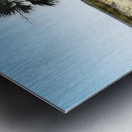 Cruisin  Beetle Metal print