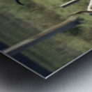 Gossip at the Water Cooler Metal print