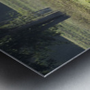 Long Horns Metal print